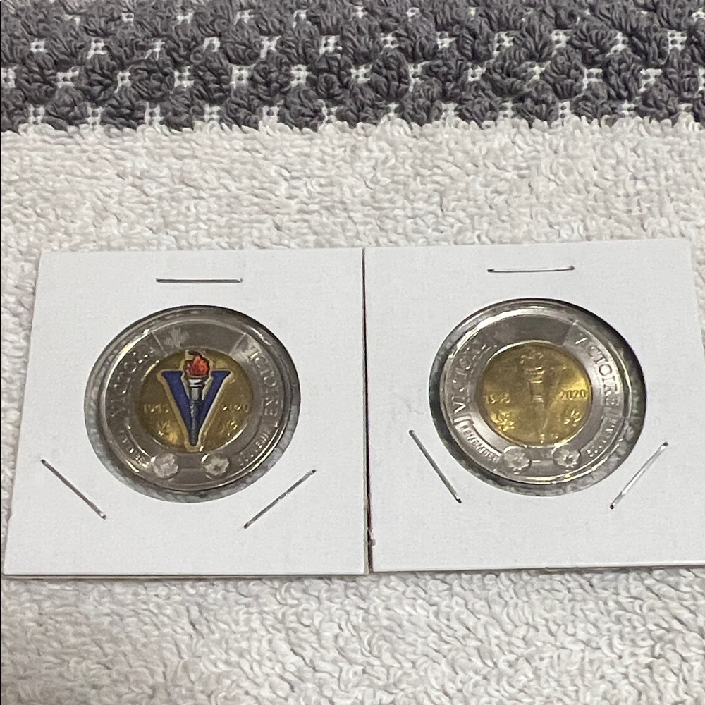 2020 Canadian Toonies